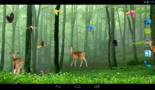 Rain Forest Live Wallpaper screenshot 2