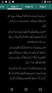 Ishq Be Mazhab By Samreen Ehsaan - Offline screenshot 6