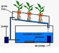 hydroponic grow system screenshot 9