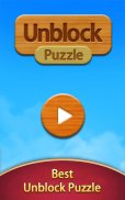 Unblock Puzzle screenshot 11