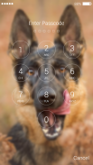 German Shepherd Dog Lock Screen screenshot 7