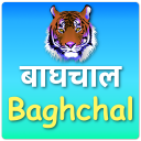 Baghchal Game