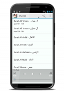 Maghfirah M Hussein Murottal screenshot 1