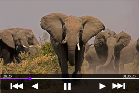 Video Player screenshot 1