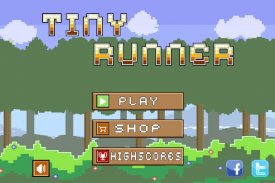 Tiny Runner -- endless running game screenshot 5