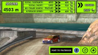 Rally Racer Dirt screenshot 8