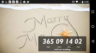 Wedding Countdown Widget screenshot 4