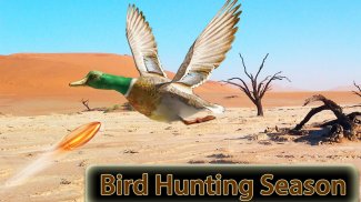 Caça de aves: Desert Sniper screenshot 10