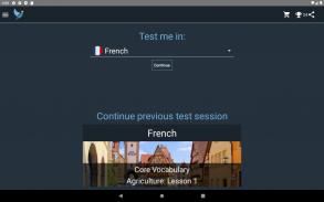 French Language Tests screenshot 14