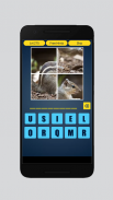 4 Pics 1 Word Gussing Game screenshot 11