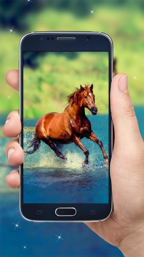 Running Pferd Hd Wallpaper 1 1 4 Download Android Apk Aptoide