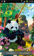 Panda Paradise Live Wallpaper screenshot 1