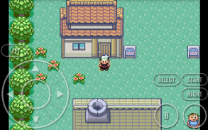 Pokemon: Power Z screenshot 2