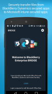 BlackBerry Enterprise BRIDGE screenshot 0