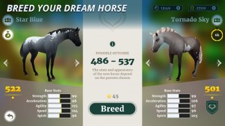 Wildshade: fantasy horse races screenshot 11