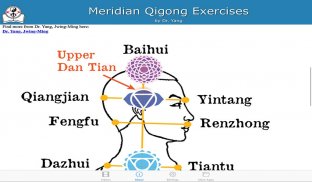 Meridian Qigong Exercises screenshot 0