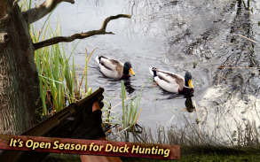 Wild Duck Hunting screenshot 5