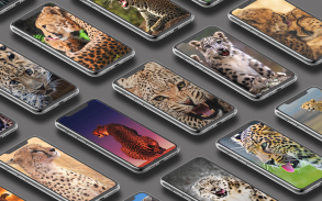 Leopard Wallpaper screenshot 0