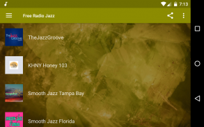 Free Radio Jazz screenshot 0