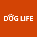 Dog Life Icon