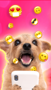 Emoji Home - Fun Emoji, GIFs, and Stickers screenshot 1