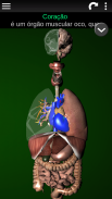 Órgãos Internos em 3D (Anatomia) screenshot 0