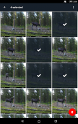 Seneram - Cloud service for trail cameras screenshot 12