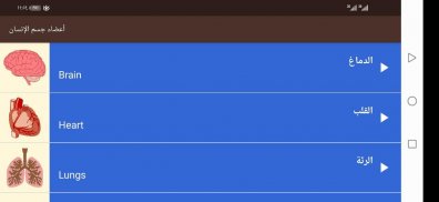 مصطلح طبي ناطق بدون نت screenshot 3