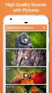 Animal Sounds Ringtones screenshot 0
