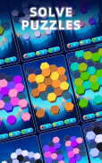 Hexa Color Sort Puzzle Games screenshot 9
