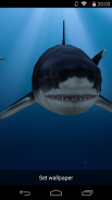 3D Sea Fish Live Wallpaper HD screenshot 3