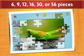 Insect Jigsaw Puzzle Game Kids screenshot 4