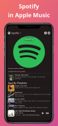 Meows - Player for Apple Music screenshot 3