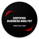 Business Analyst Practice Test