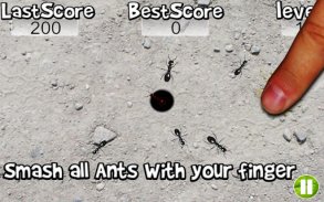 Squish these Ants 2 screenshot 1