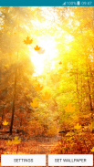 Live Wallpapers – Autumn screenshot 3