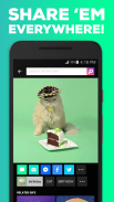 GIPHY: GIFs, Stickers & Clips screenshot 2