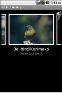 NZ Bird Gallery screenshot 0