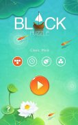 Block Puzzle screenshot 14