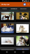 Cat wallpapers and funny pics screenshot 7