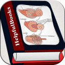 Muscular System Icon