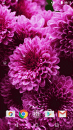 Flowers Live Wallpaper screenshot 3