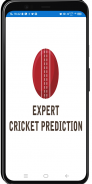 Expert Cricket Predictions screenshot 1