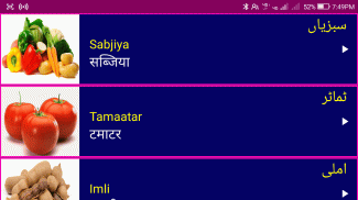 Learn Urdu From Hindi screenshot 4