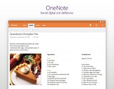 Microsoft OneNote: Save Notes screenshot 7