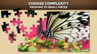 Insects Puzzles For Adults And Kids Free screenshot 0