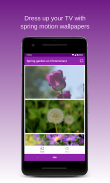 Spring Garden on Chromecast🌷Live wallpapers on TV screenshot 3