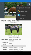 Horse breeds - Photos screenshot 5