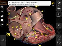 Anatomie - Atlas 3D screenshot 12