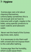 Guinea Pigs - all about screenshot 1